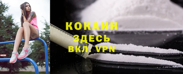 прущие грибы Лихославль