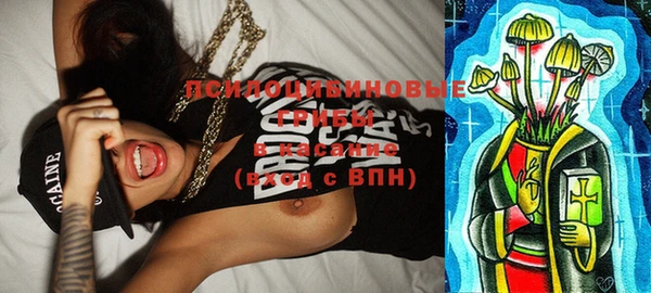 индика Лагань