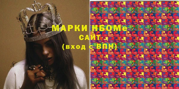 шишки Весьегонск