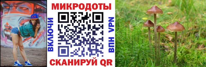 OMG как войти  купить  цена  Липки  Галлюциногенные грибы GOLDEN TEACHER 